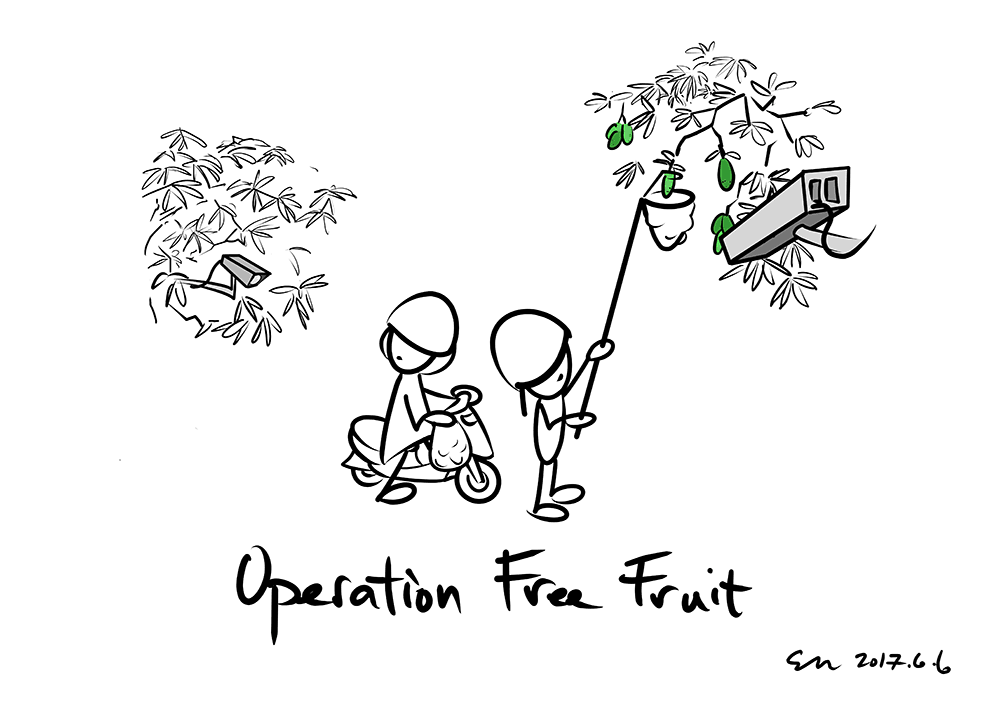 Free Fruit